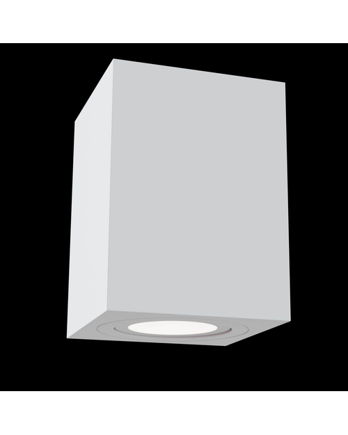 Потолочный светильник Maytoni C017CL-01W Alfa