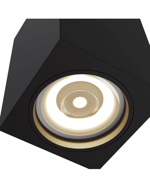 Потолочный светильник Maytoni C011CL-01B Alfa