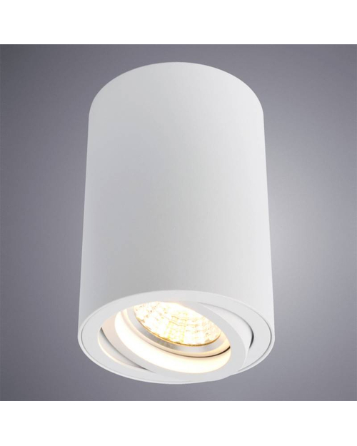 Потолочный светильник Arte Lamp A1560PL-1WH Sentry