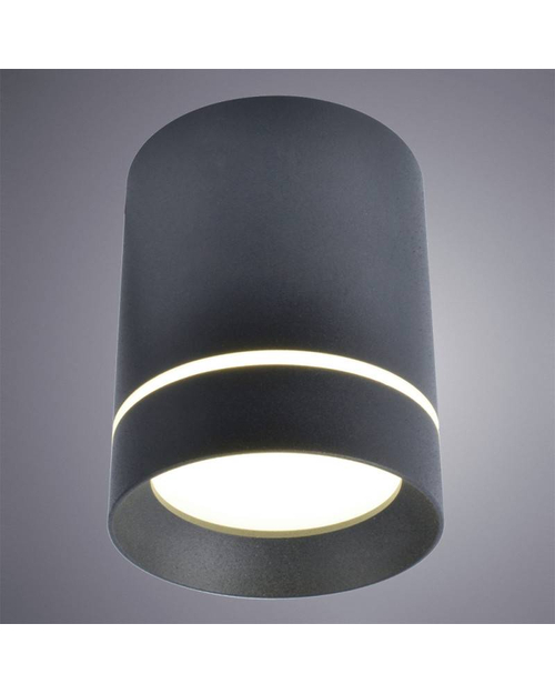 Потолочный светильник Arte Lamp A1909PL-1BK Elle