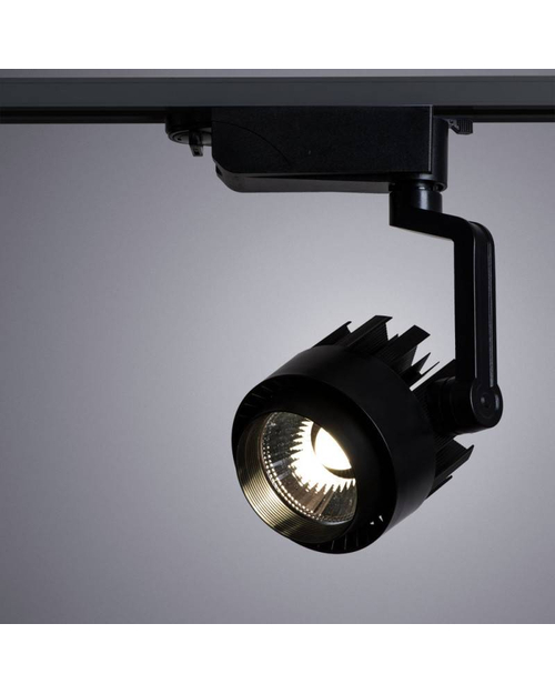 Потолочный светильник Arte Lamp A1632PL-1BK Wales