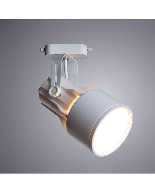 Потолочный светильник Arte Lamp A6252PL-1WH Lyra