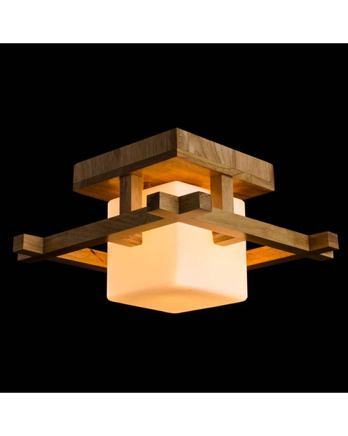 Потолочный светильник Arte Lamp A8252PL-1BR Woods