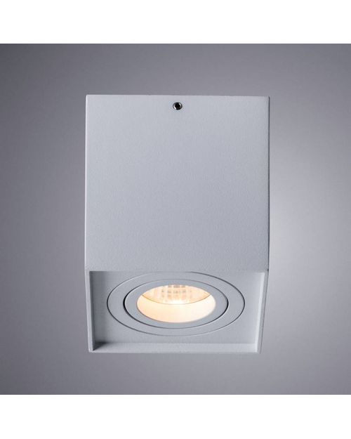 Потолочный светильник Arte Lamp A5544PL-1WH Factor