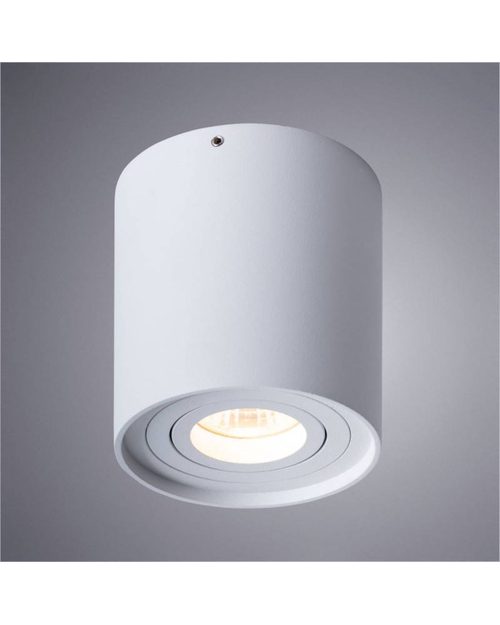 Потолочный светильник Arte Lamp A5645PL-1WH Falcon