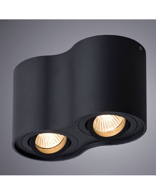 Потолочный светильник Arte Lamp A5645PL-2BK Falcon