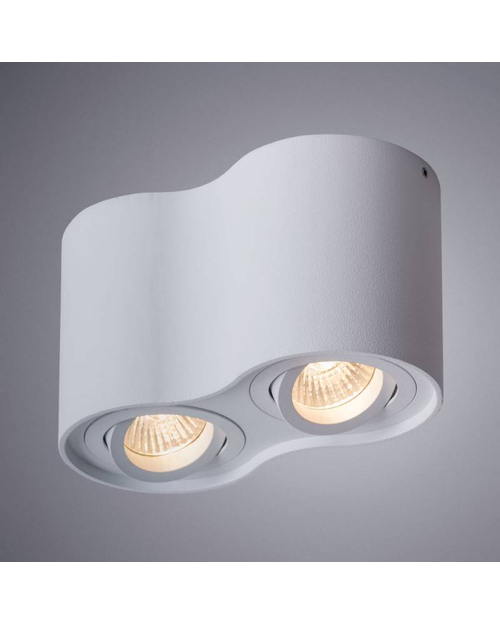 Потолочный светильник Arte Lamp A5645PL-2WH Falcon